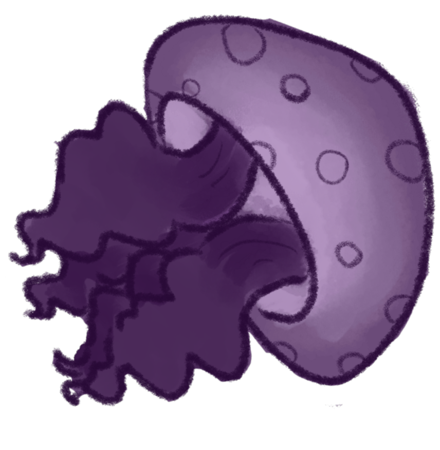 Jellyfish